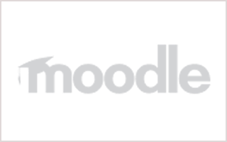 Logo 4